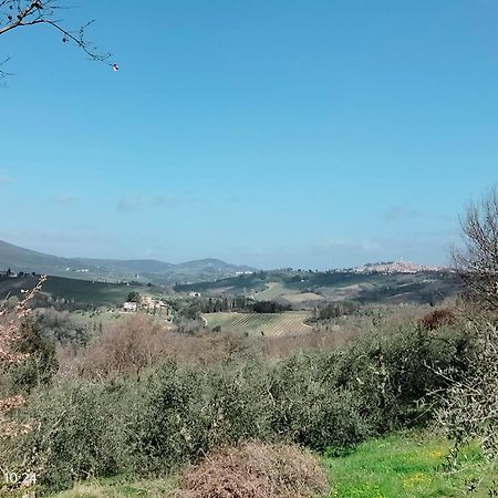 Apartamento Piazza Arnolfo 1932 Colle di Val d'Elsa Exterior foto