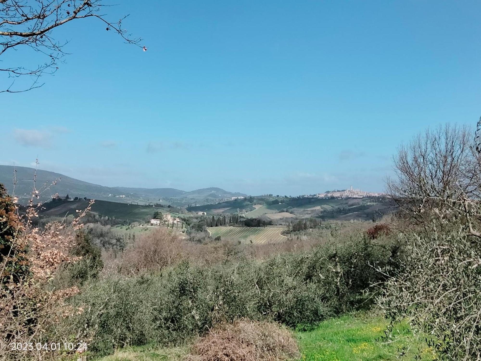 Apartamento Piazza Arnolfo 1932 Colle di Val d'Elsa Exterior foto